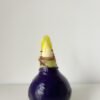 0B796582-224B-4608-A046-81DA897895EF P13 Tamsiai violetinės spalvos vašku