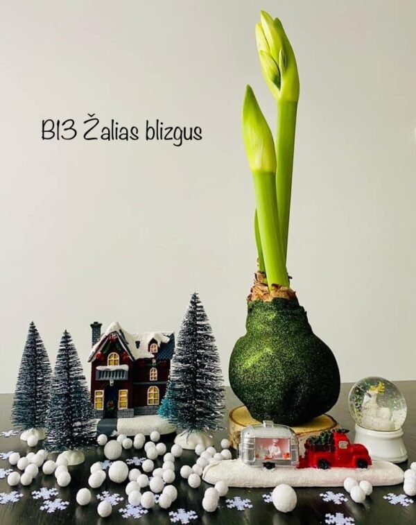 0F1F171F-C8C7-49D8-9433-B09D2E9E8B0B B13 Tamsiai žalios spalvos BLIZGUS