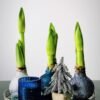 23953E57-2CB1-4F34-A781-850F6717551B B16 Pilkai/violetinės spalvos BLIZGUS