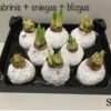 31F1CC47-508B-4083-9B11-7A29CDB0B9F8 S8 Sidabrinės spalvos snieguotas + su blizgučiu