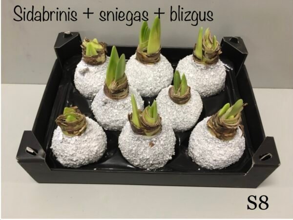 31F1CC47-508B-4083-9B11-7A29CDB0B9F8 S8 Sidabrinės spalvos snieguotas + su blizgučiu