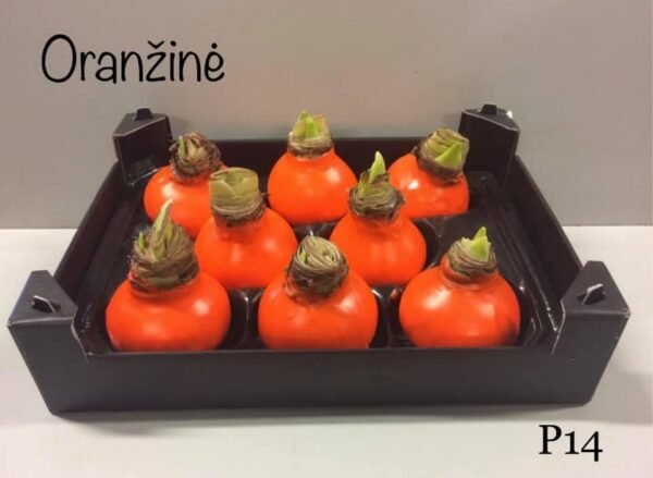 P14 Oranžinės spalvos vašku
