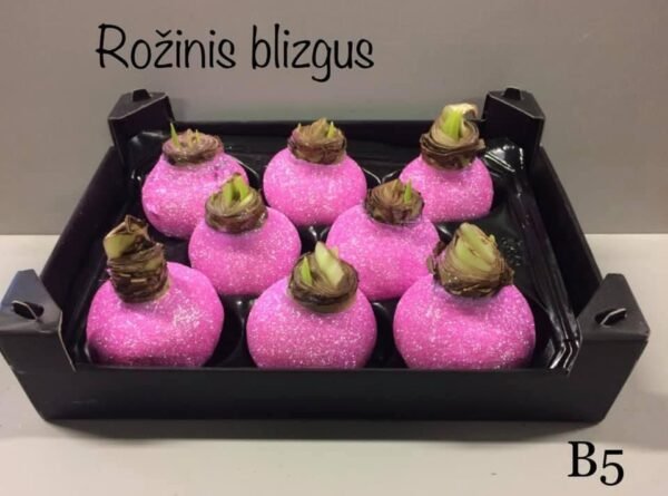 B5 Šviesiai rožinės spalvos BLIZGUS