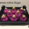 5588C2D3-9249-4966-8D64-01BD1662D19D B6 Tamsiai rožinės spalvos BLIZGUS