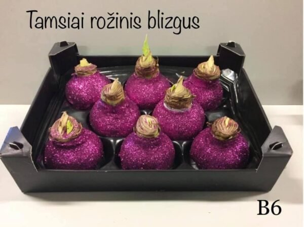 5588C2D3-9249-4966-8D64-01BD1662D19D B6 Tamsiai rožinės spalvos BLIZGUS
