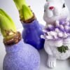 5F38B63C-B046-4825-92AF-849793931B19 S13 Violetinės spalvos snieguotas