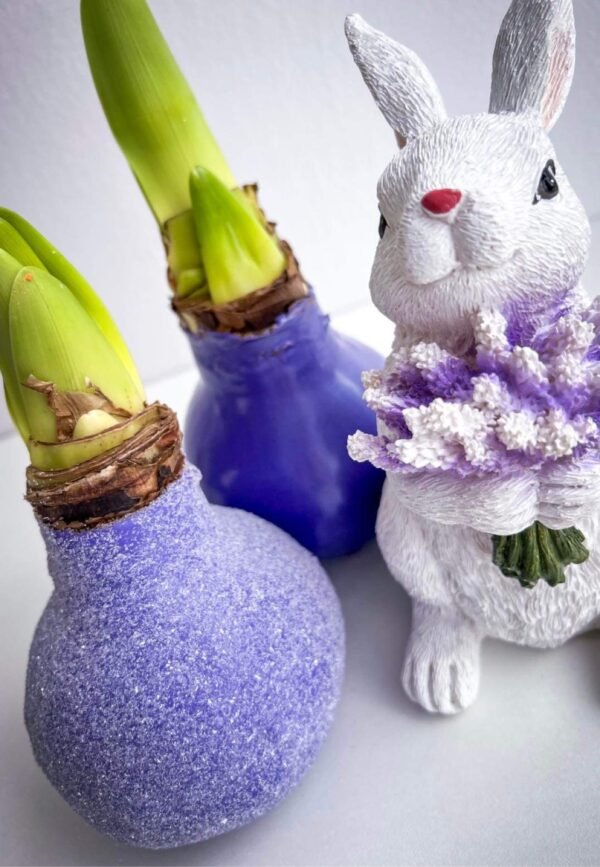 5F38B63C-B046-4825-92AF-849793931B19 S13 Violetinės spalvos snieguotas
