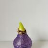 780D4009-A78D-43E1-82B2-FBE07B46464E B4 Violetinės spalvos BLIZGUS