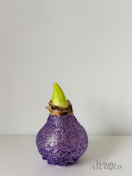 780D4009-A78D-43E1-82B2-FBE07B46464E B4 Violetinės spalvos BLIZGUS