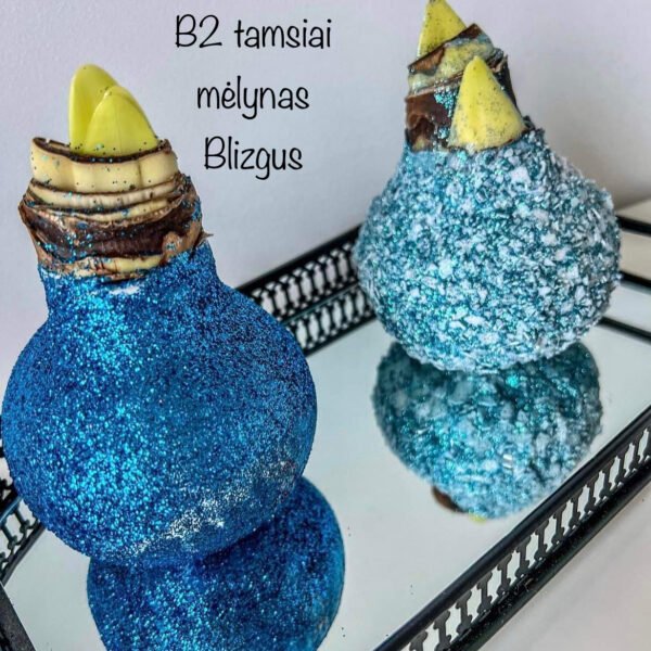92A97ECF-34F1-46D7-885D-44A7F5A0BF31 S11 Mėlynos spalvos snieguotas + su blizgučiu