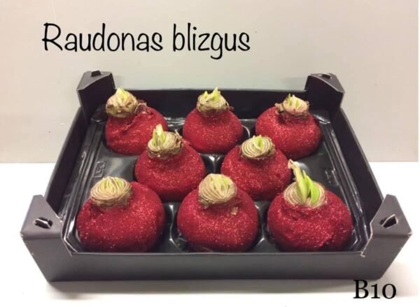 983E0B62-7E64-4126-B6FE-A0B8A50E20B3 B10 Raudonos spalvos BLIZGUS