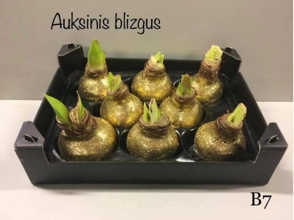 9A9B0086-983A-4D1F-A4D6-2B0AB7C44335 B7 Auksinės spalvos BLIZGUS