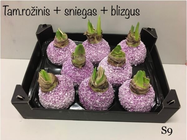 S10 Tamsiai rožinės spalvos snieguotas + su blizgučiu