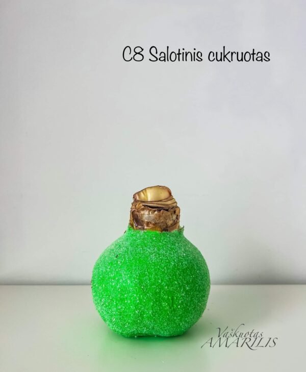 Raudonas PILNAVIDURIS žiedas