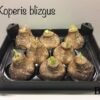 AC7A8D41-1461-4E72-8BB4-0162AAA319D7 B8 Koperis BLIZGUS