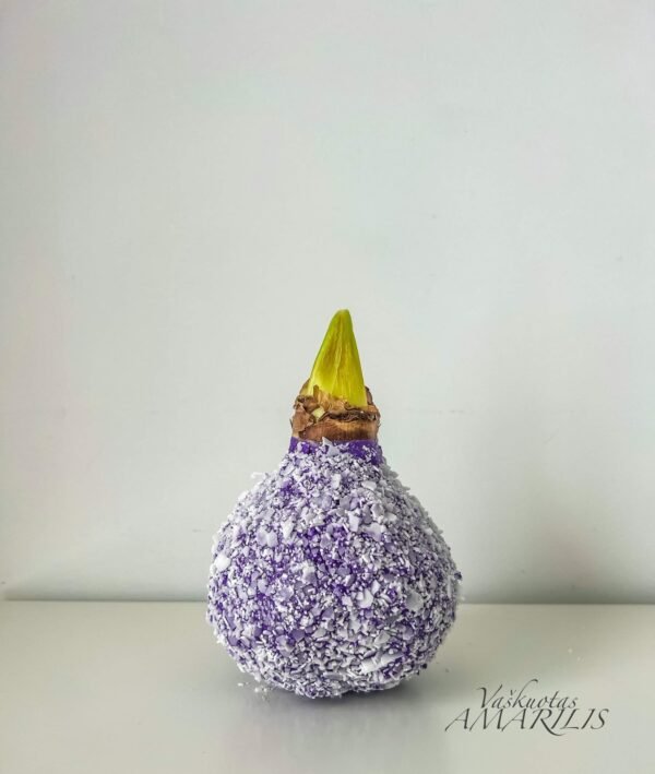 AF981082-F38D-4C4C-8926-66C9418F2BCC S13 Violetinės spalvos snieguotas