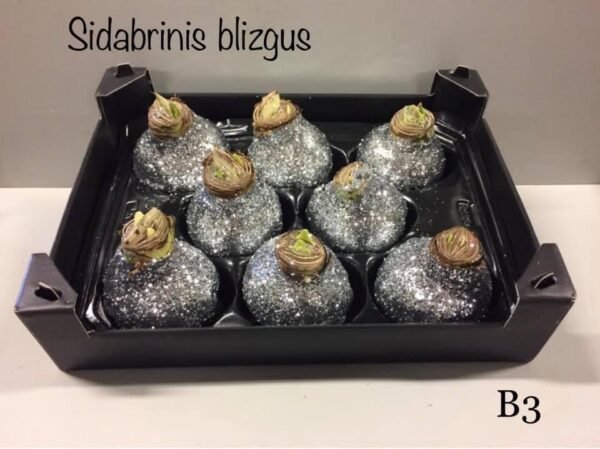 B3 Sidabrinės spalvos BLIZGUS