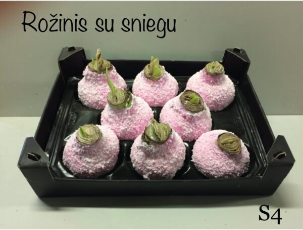 S4 Rožinės spalvos snieguotas