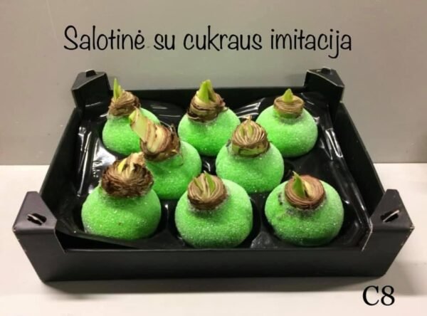 C8 Salotinės spalvos ,,CUKRUOTAS"