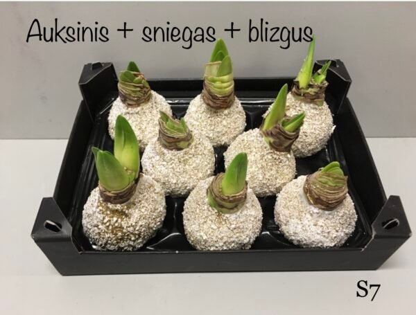 E4C22314-B118-4FF7-95CE-D15184A31E21 S7 auksinės spalvos snieguotas + auksiniu blizgučiu