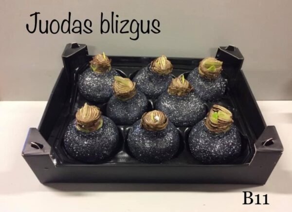 F9278A0A-2D0A-41C9-A9F7-E4F5337EE810 B11 Juodos spalvos BLIZGUS