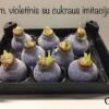 556C0630-A9D2-4AE0-A4D3-35C7E0394420 C4 Tamsiai violetinės spalvos ,,CUKRUOTAS"