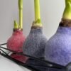 8AFDD3F6-B6C0-408D-A6E7-50EA0B5A7C85 C4 Tamsiai violetinės spalvos ,,CUKRUOTAS"