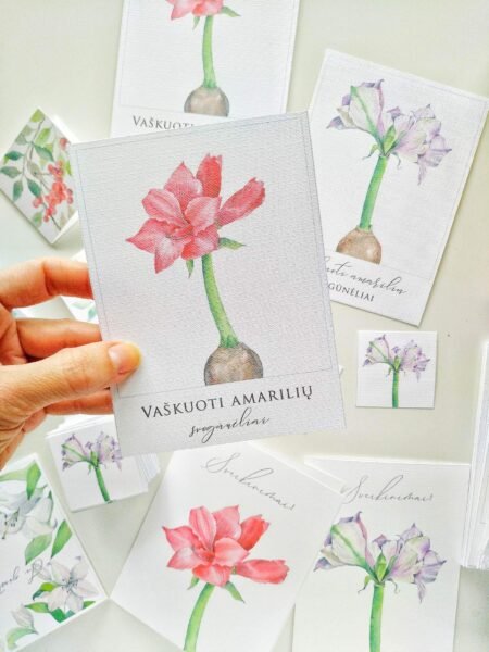 Sveikinimo atvirutė (su Jūsų tekstu)