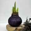 abbbd342-9124-4c57-9895-01482f09267c B18 Tamsiai violetinės spalvos BLIZGUS