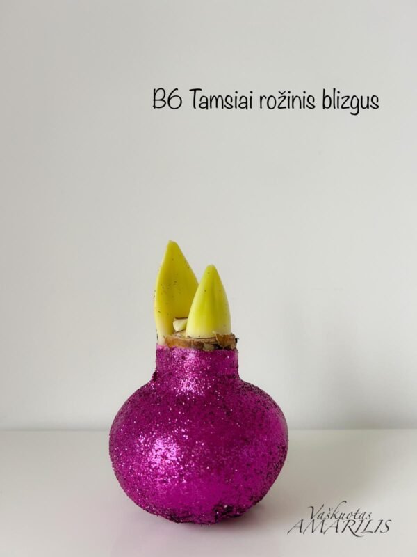 3c0d3a61-8dbc-4b11-bc2c-953824d6a05e REZERVACIJA Kalėdoms (blizgiu vašku)