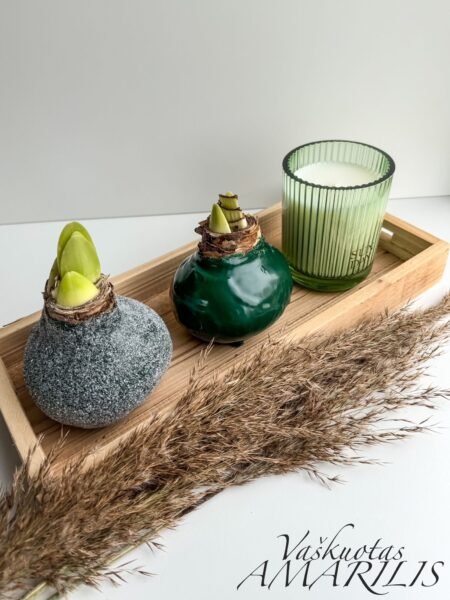 Pailgas / Medinis padėklas 2