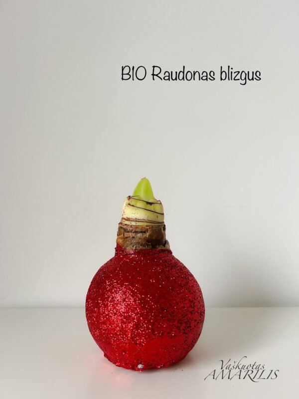 46140861-2306-4a4b-bb31-8b7d775c2c87 REZERVACIJA Kalėdoms (blizgiu vašku)