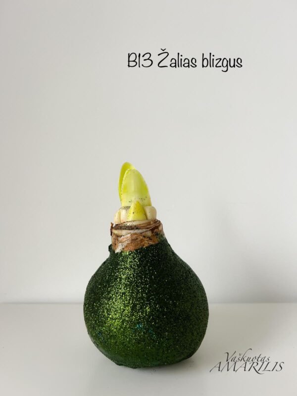 50ab8843-e46b-401e-9d24-ecdcb13f3086 REZERVACIJA Kalėdoms (blizgiu vašku)