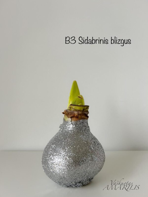 56c8d019-de5f-4deb-8027-9447d4567f74 REZERVACIJA Kalėdoms (blizgiu vašku)
