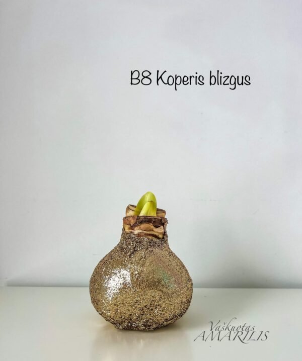 IMG_1859 REZERVACIJA Kalėdoms (blizgiu vašku)