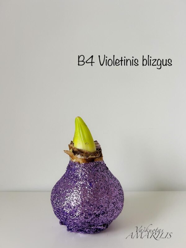 cf3f410c-c3a7-4c0e-a950-e965e1f22367 REZERVACIJA Kalėdoms (blizgiu vašku)