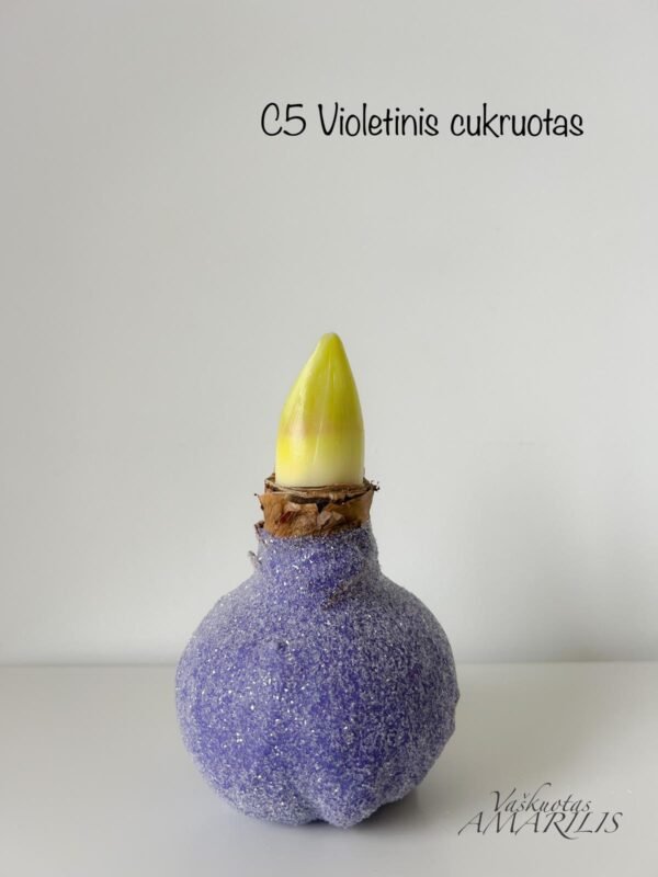 Raudonas PILNAVIDURIS žiedas