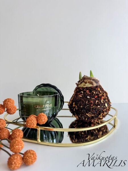 Vidutinis/auksinis padėkliukas