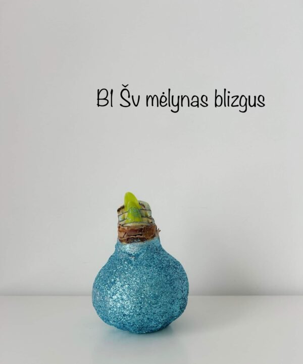 IMG_1887 REZERVACIJA Kalėdoms (blizgiu vašku)