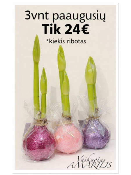 Rinkinukas ,,3vnt paaugusių"